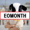 【SQL Server】月末を求められるEOMOTH関数が便利！！！