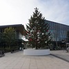 2024/02/02 玉川上水・立川散歩 05 広場の木/立川市デザインマンホール/立川パブリックアート/噴水/サンサンロード/立川駅