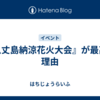 『八丈島納涼花火大会』が最高な理由