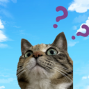 ポケモン備忘録