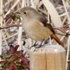 午後のあわい陽の平和公園