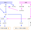 筋トレ後にタンパク質＋炭水化物（糖質）を摂取しても筋肥大の効果はアップしない【最新エビデンス】