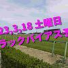 2023,3,18 土曜日 トラックバイアス予想 (中山競馬場、阪神競馬場、中京競馬場)