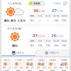 2019夏、暑さピークの週