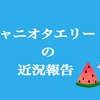ジャニオタエリートの近況報告【2017.夏】