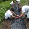 畑の管理・野外活動事前指導