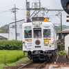 和歌山からパンダはいなくなったけど、和歌山にはねこ駅長が今でもいることを忘れないで。今でも集客力あるんだから。
