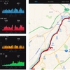 garminのサーバーで不具合！？連休明けは上腕二頭筋と三頭筋の筋肥大！！！