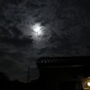 今夜の月