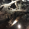 恐竜博物館 IN 御船町