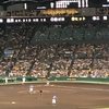 雨の合間の甲子園とお留守番サンの巻〜(´；Д；`)連レテッテェ。