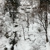 大切なのは、脳より胃