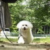 細かいことは。