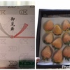 骨折奮闘記13日目