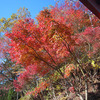 御岳山紅葉ハイキング