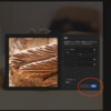 Adobe Lightroomの新しいノイズ除去機能、結構凄い！