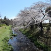 多摩川桜百景　－67. 根川緑道と立川公園－