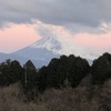 今朝の景色