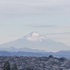 新年の診療開始です