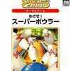 今プレイステーション２のSuperLite2000スポーツ めざせ!スーパーボウラーにいい感じでとんでもないことが起こっている？