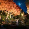 堀庭園の紅葉ライトアップ