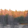 Tyresta Nationalpark