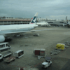 【ニュース】入国審査で4、5時間待ち　バンコク・ドンムアン空港に批判殺到
