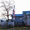 「鯉のぼり」と「今日の花」