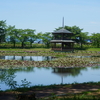【第12夜】最寄りの無料キャンプ場で初キャンプ！【大池公園キャンプ場】