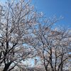 嵐の後