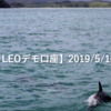 【SHONAN･LEOデモ口座】2019/5/16(木)の成績