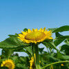 8月の総括