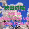 秋田市の桜　史上最速で満開に！〜EOS R5+「RF50㎜ F1.2L USM」「RF70-200㎜ F2.8L IS USM」〜
