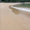 綺麗な海水浴場