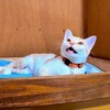 可愛いネコちゃんシリーズー5・・・