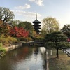 【世界遺産】東寺へ行ってきた