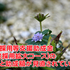 中途採用等支援助成金（中途採用拡大コース）の対象と助成額が見直されています。