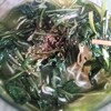 草拉麺タンポポ