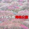 絶景スポット！2021年 いなべ市梅林公園へドライブ【東海ドライブ】