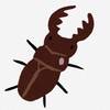 クワガタを貰ったぞ！
