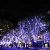 うたプリ のクリスマスソングに合わせて花火が 踊り きらめき 飛び跳ね る 横浜ウォッチャー うたプリ のクリスマスソングに合わせて花火が 踊り きらめき 飛び跳ね る 横浜ウォッチャー