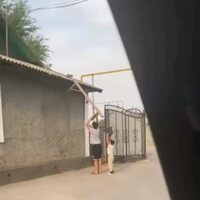 tanemuの巡回先