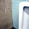 トイレの覗き穴