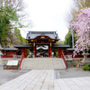 春の秩父旅・2日目｜レンタサイクルで秩父神社へ