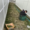 除草のお手伝い