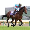 インディチャンプ、ラスト２戦に全力投球！