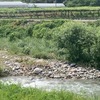 2023年6月中旬〜下旬！増水も雨も気にしない♪