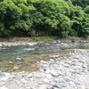 有給使ったのに、なんて日だ！！