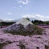 だいぶ前だけど・・・今年５月に行きました・・・富士芝まつりと富士五湖観光をご紹介！