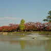  長岡天満宮